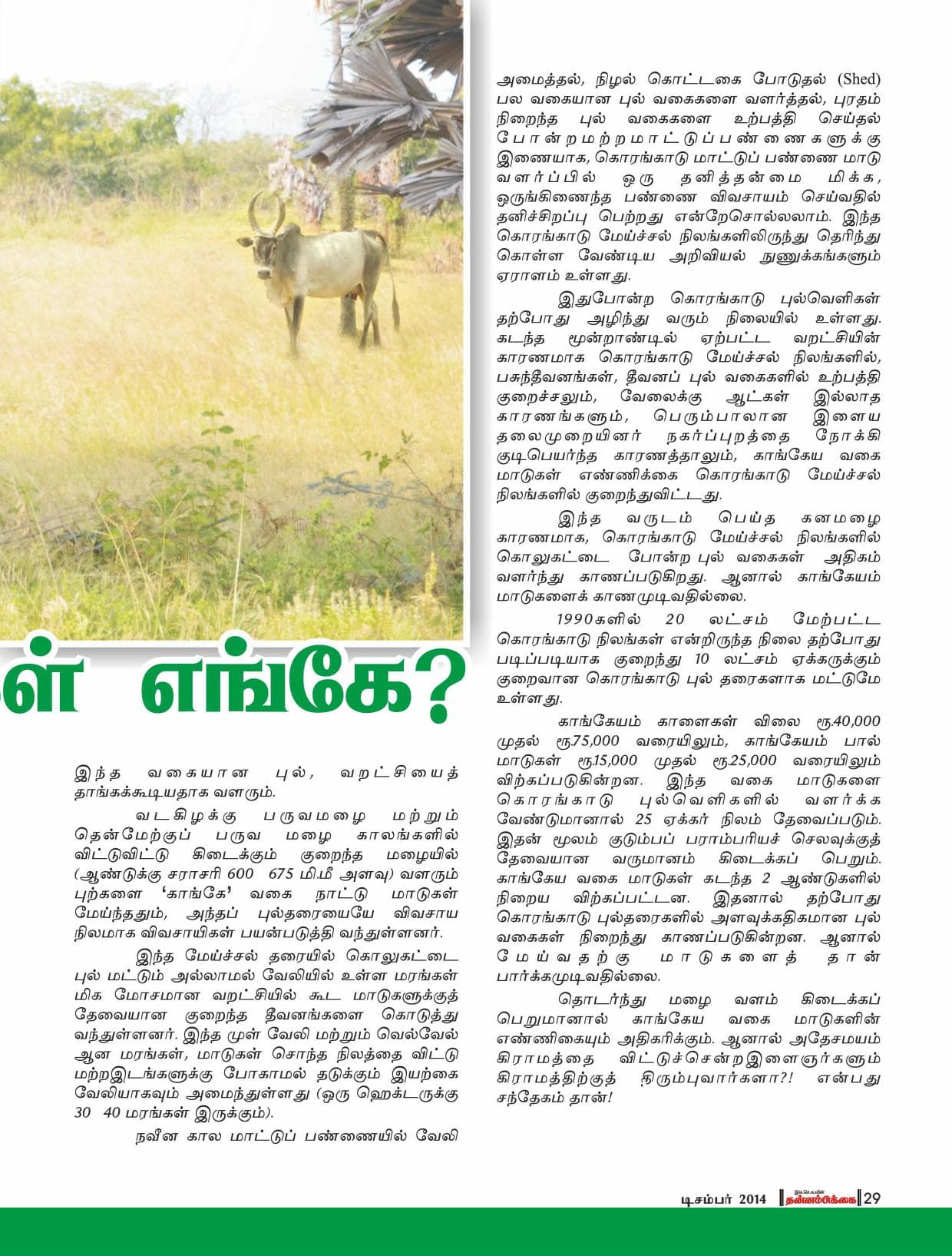 டிசம்பர் 2014 பக்கம் 29